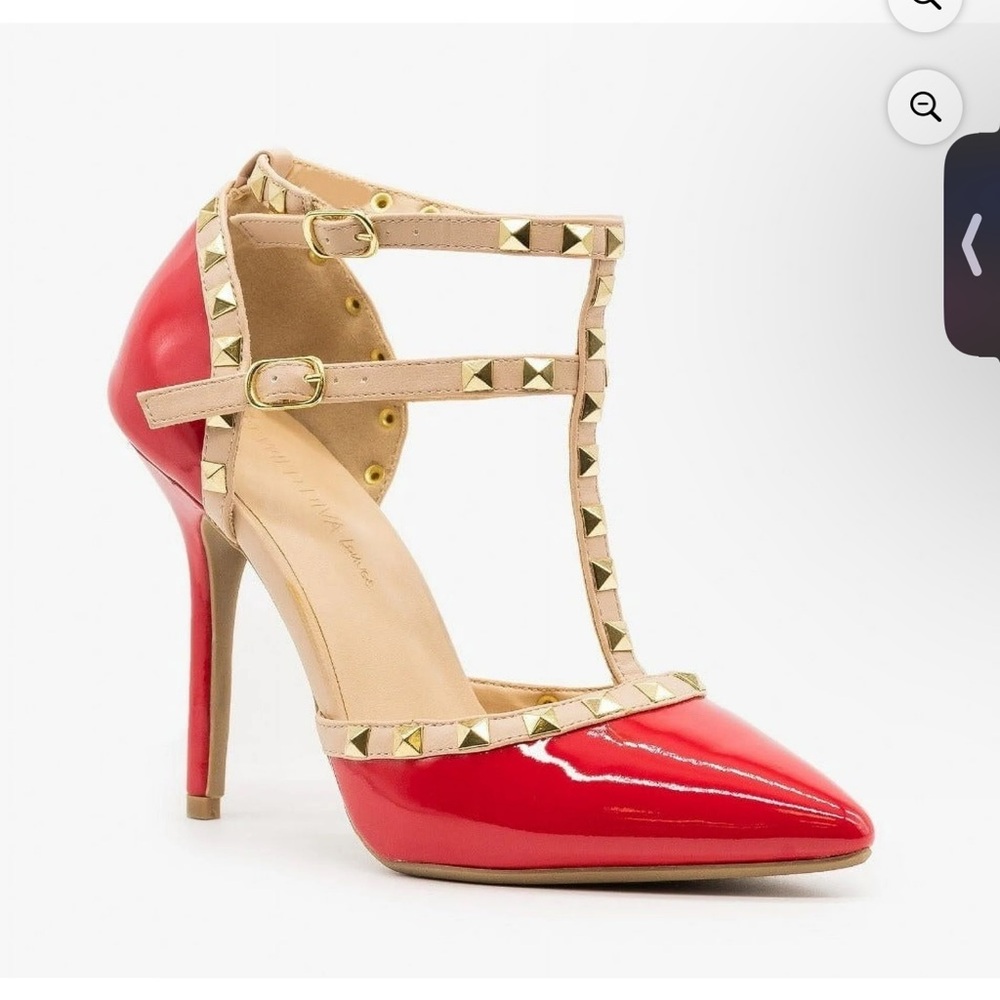 Wild Diva 10 Sexy Stilletto Heels